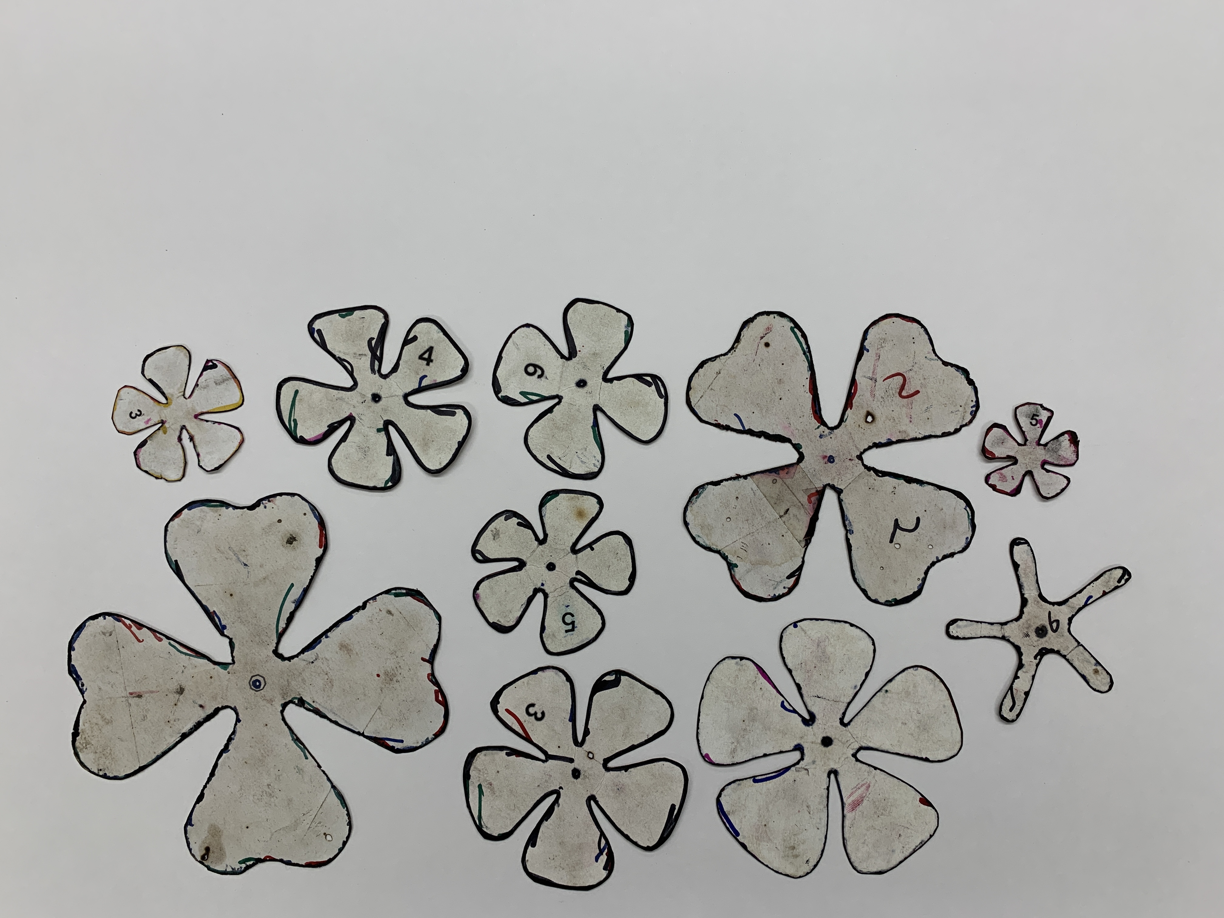 HandDrawnFlowerTemplate